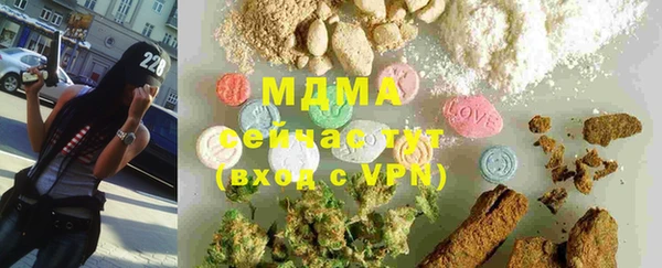 гидра Бородино