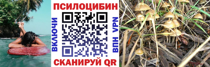 Псилоцибиновые грибы Psilocybine cubensis Волгореченск